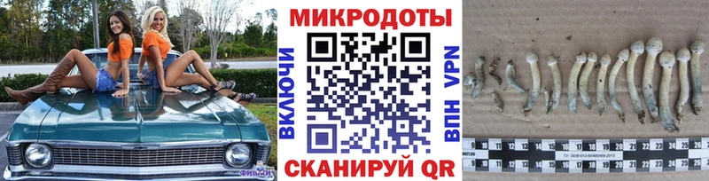 Псилоцибиновые грибы ЛСД  Купить где  Дагестанские Огни 