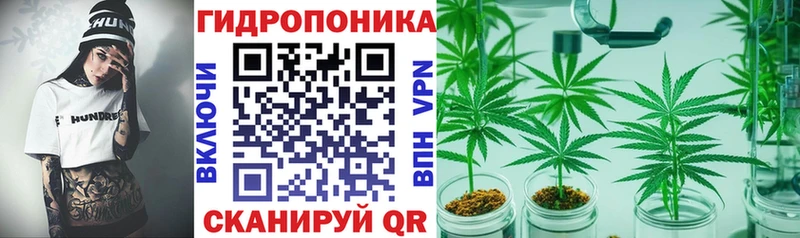 Каннабис ГИДРОПОН  Купить закладки  Дагестанские Огни 